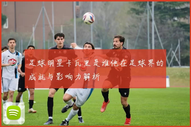 足球明星卡瓦里是谁他在足球界的成就与影响力解析