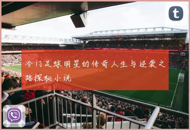 冷门足球明星的传奇人生与逆袭之路探秘小说
