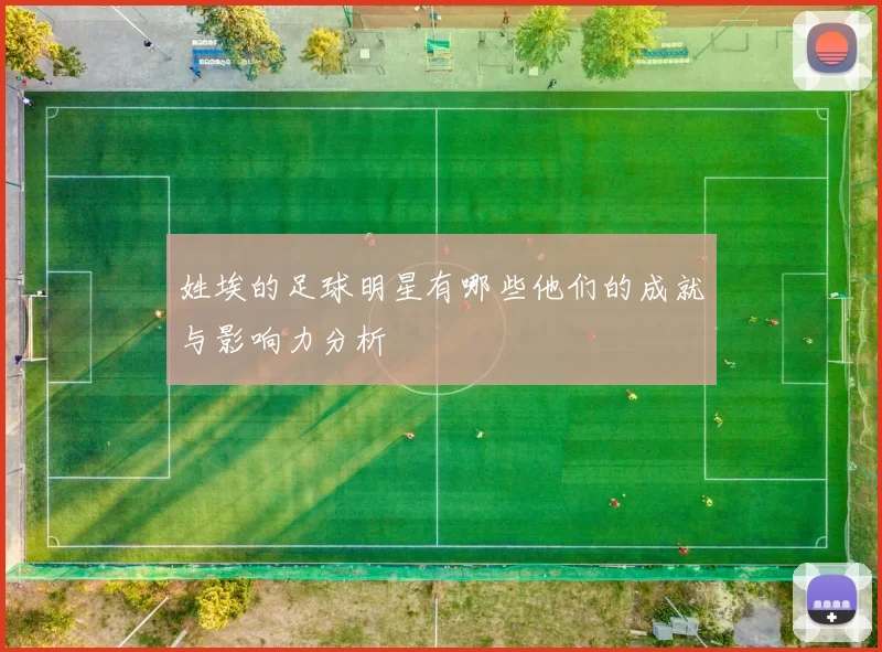 姓埃的足球明星有哪些他们的成就与影响力分析