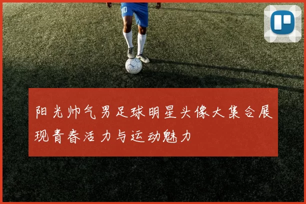 阳光帅气男足球明星头像大集合展现青春活力与运动魅力