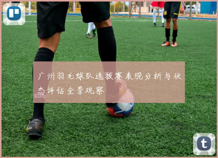 广州羽毛球队选拔赛表现分析与状态评估全景观察