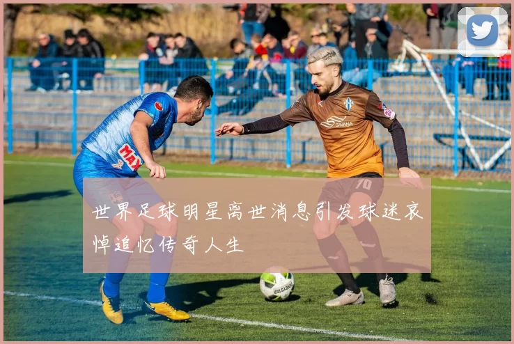 世界足球明星离世消息引发球迷哀悼追忆传奇人生