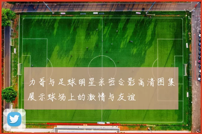 力哥与足球明星亲密合影高清图集展示球场上的激情与友谊
