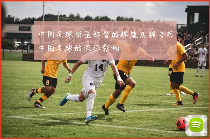 中国足球明星郑智的辉煌历程与对中国足球的深远影响