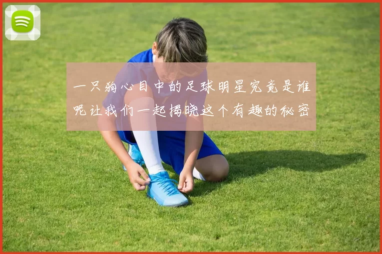 一只狗心目中的足球明星究竟是谁呢让我们一起揭晓这个有趣的秘密