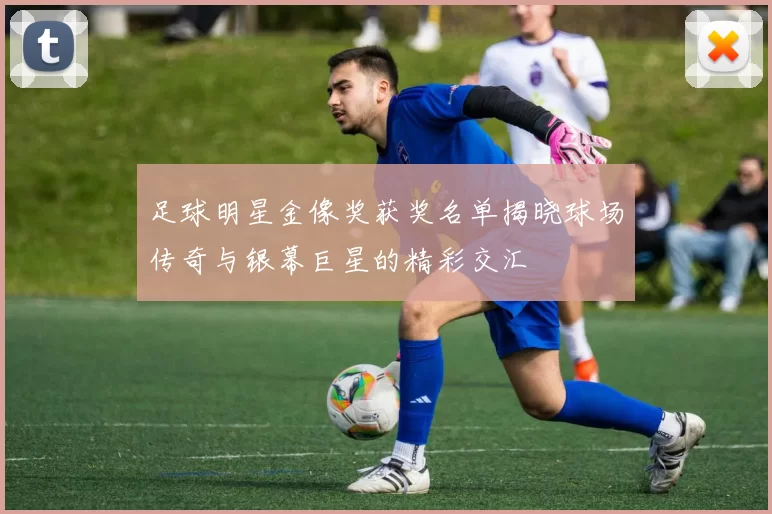 足球明星金像奖获奖名单揭晓球场传奇与银幕巨星的精彩交汇
