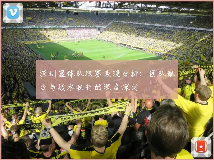 深圳篮球队联赛表现分析：团队配合与战术执行的深度探讨