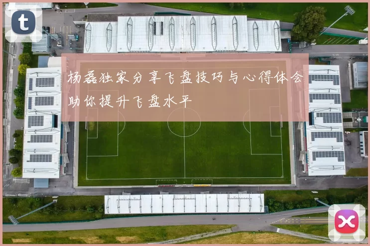 杨磊独家分享飞盘技巧与心得体会助你提升飞盘水平