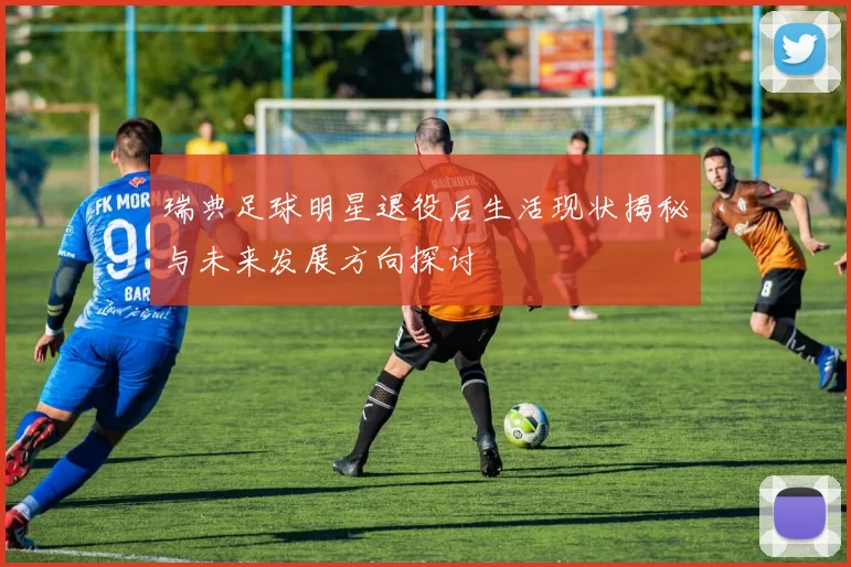 瑞典足球明星退役后生活现状揭秘与未来发展方向探讨