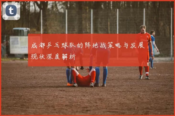 成都乒乓球队的阵地战策略与发展现状深度解析