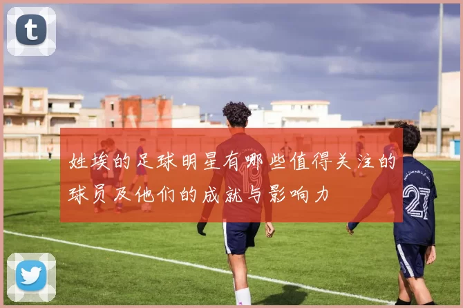 姓埃的足球明星有哪些值得关注的球员及他们的成就与影响力