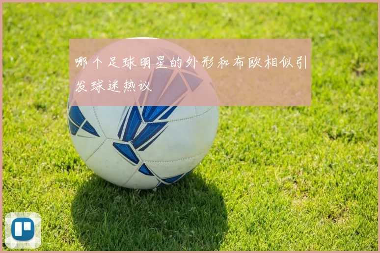 哪个足球明星的外形和布欧相似引发球迷热议