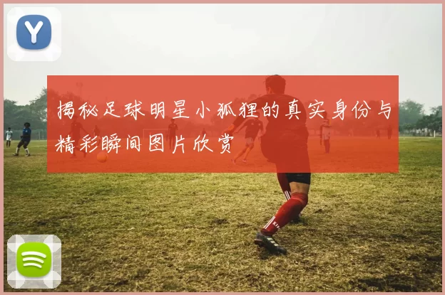 揭秘足球明星小狐狸的真实身份与精彩瞬间图片欣赏