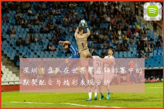 深圳飞盘队在世界攀岩锦标赛中的默契配合与精彩表现分析