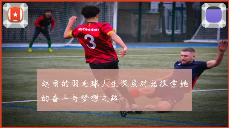 赵丽的羽毛球人生深度对话探索她的奋斗与梦想之路