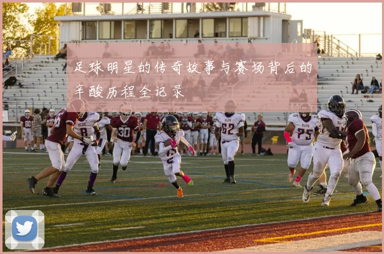 足球明星的传奇故事与赛场背后的辛酸历程全记录