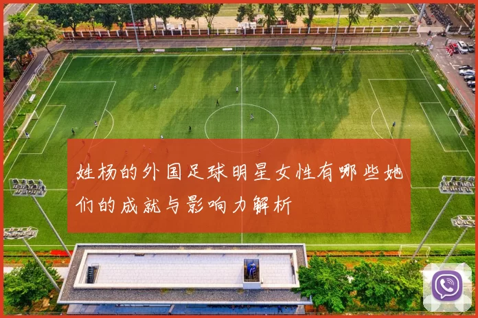 姓杨的外国足球明星女性有哪些她们的成就与影响力解析
