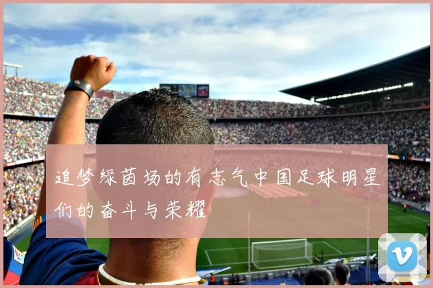 追梦绿茵场的有志气中国足球明星们的奋斗与荣耀