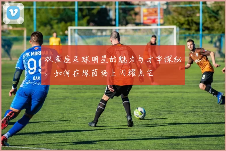 双鱼座足球明星的魅力与才华探秘，如何在绿茵场上闪耀光芒