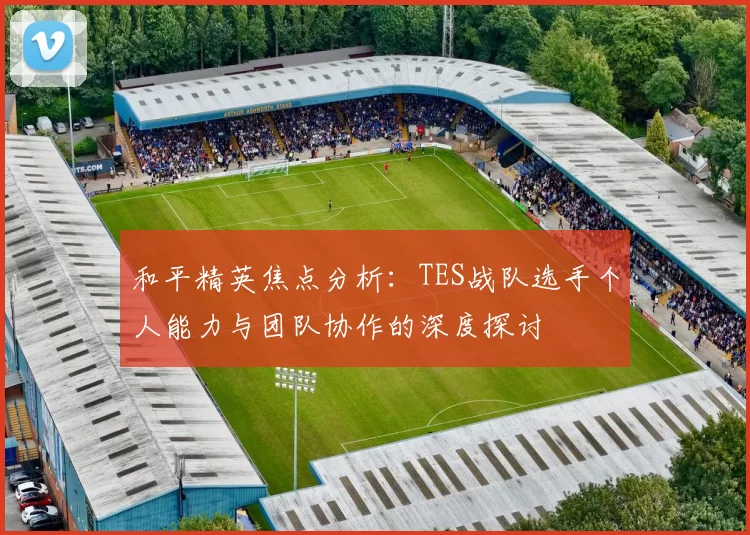 和平精英焦点分析：TES战队选手个人能力与团队协作的深度探讨