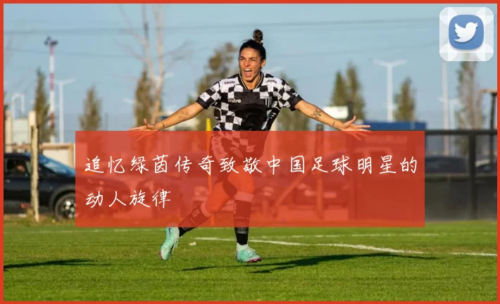 追忆绿茵传奇致敬中国足球明星的动人旋律