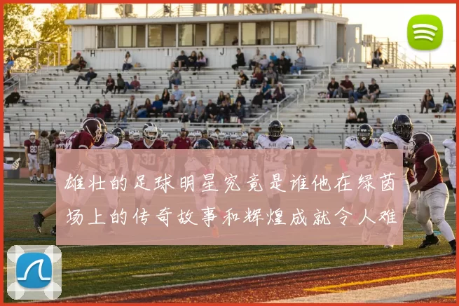 雄壮的足球明星究竟是谁他在绿茵场上的传奇故事和辉煌成就令人难以忘怀